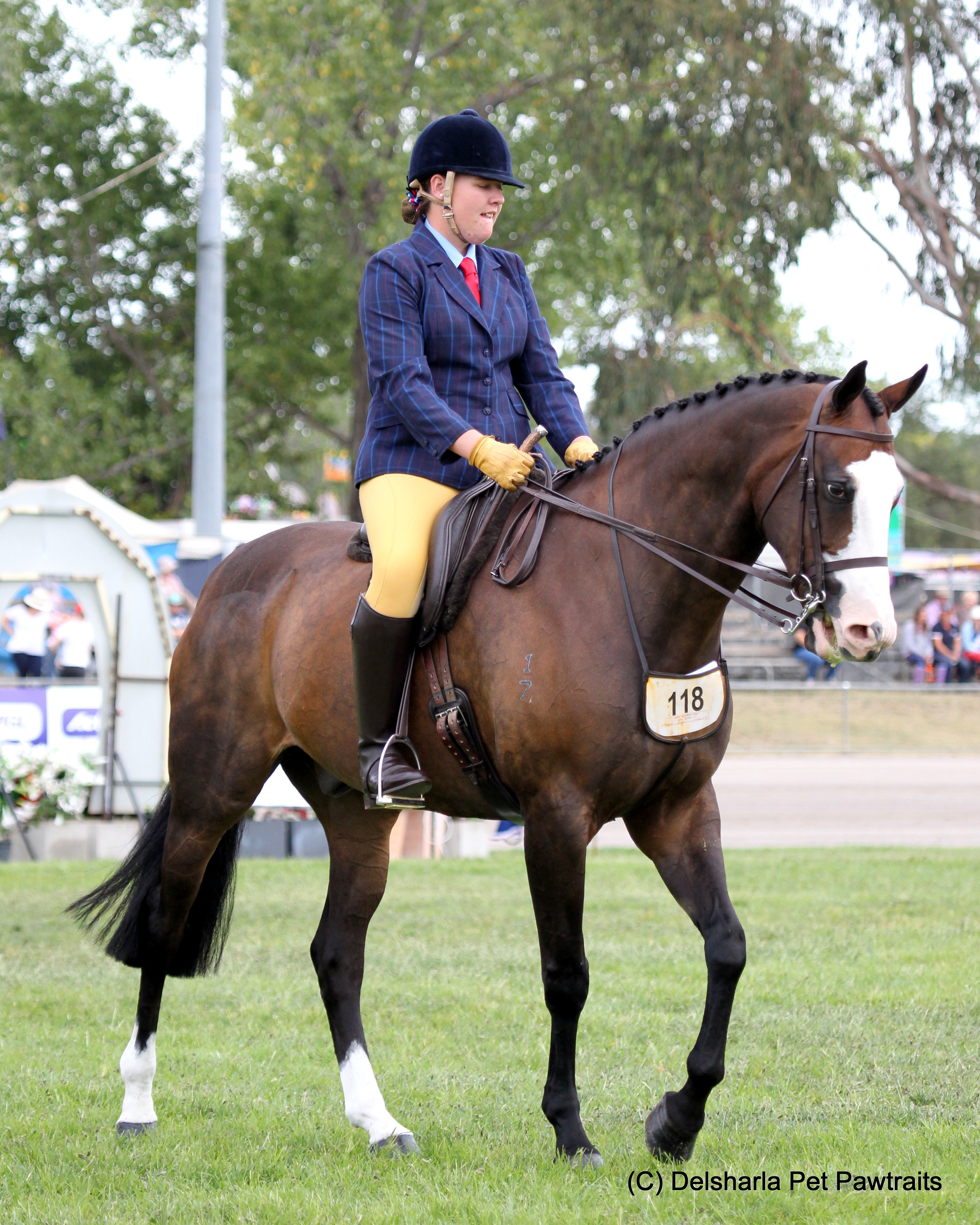 Rose-Hip Vital Equine Vs Rosehip granules