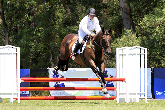 So much more than a joint supplement, it’s even helping horses with stringhalt..
