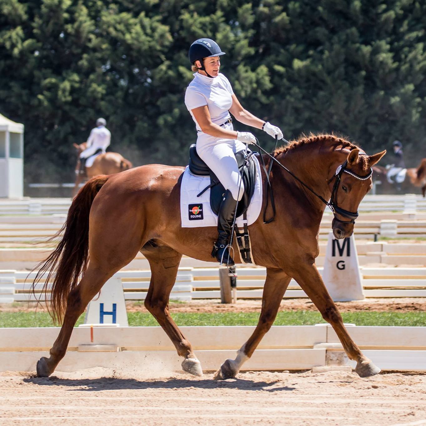 On the Blog: Louise  Curran’s goals and aspirations for 2016. The hard work is paying off!