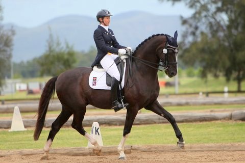 Top 5 reasons Kate Taylor-Wheat uses Rose-Hip Vital Equine