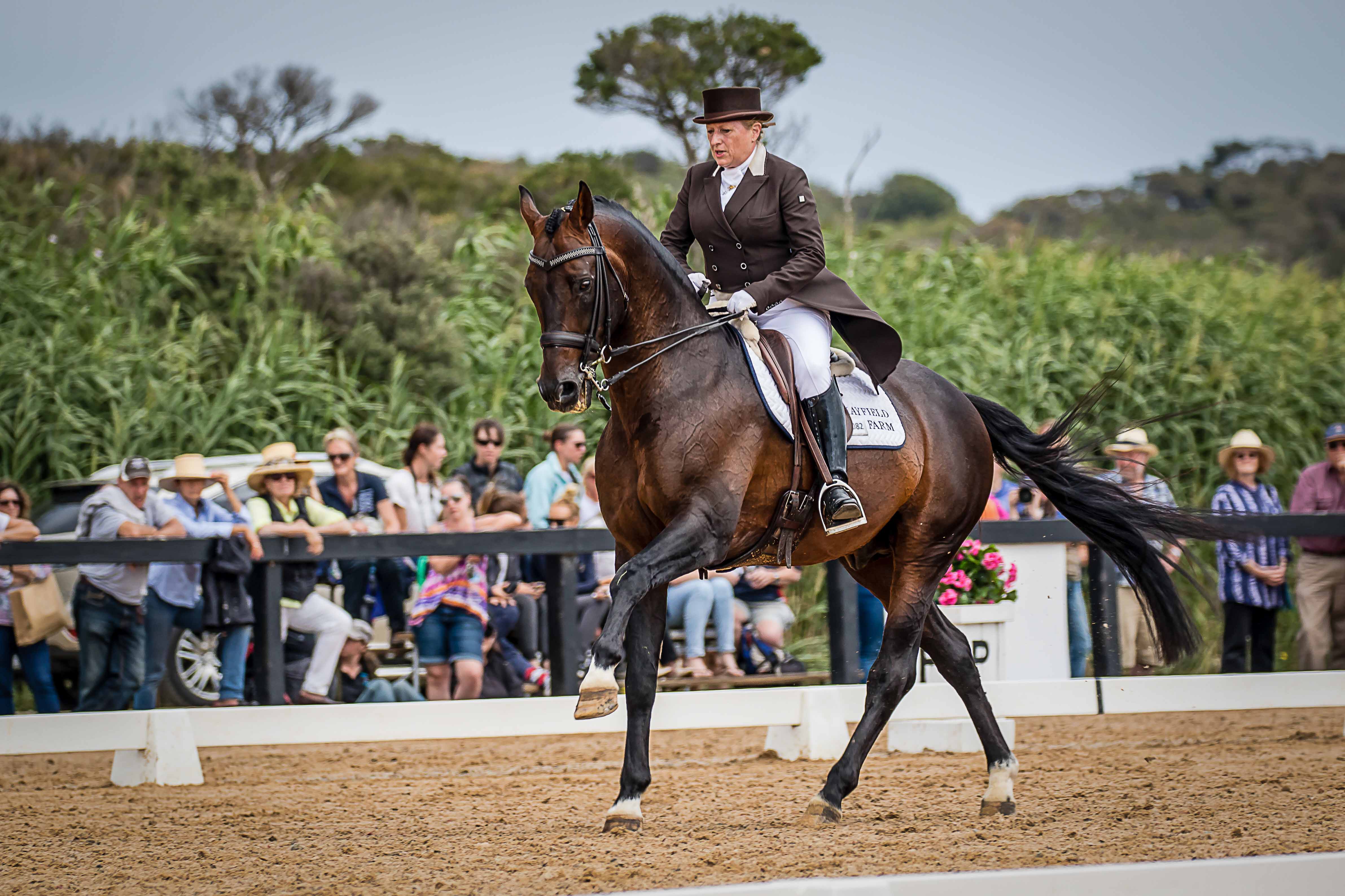 Kerry Mack and Tori Stuckey join the RHVE Team
