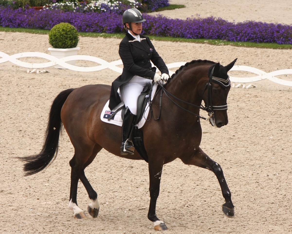 How is Rose-Hip Vital Equine helping Sue Hearn and Remmington?