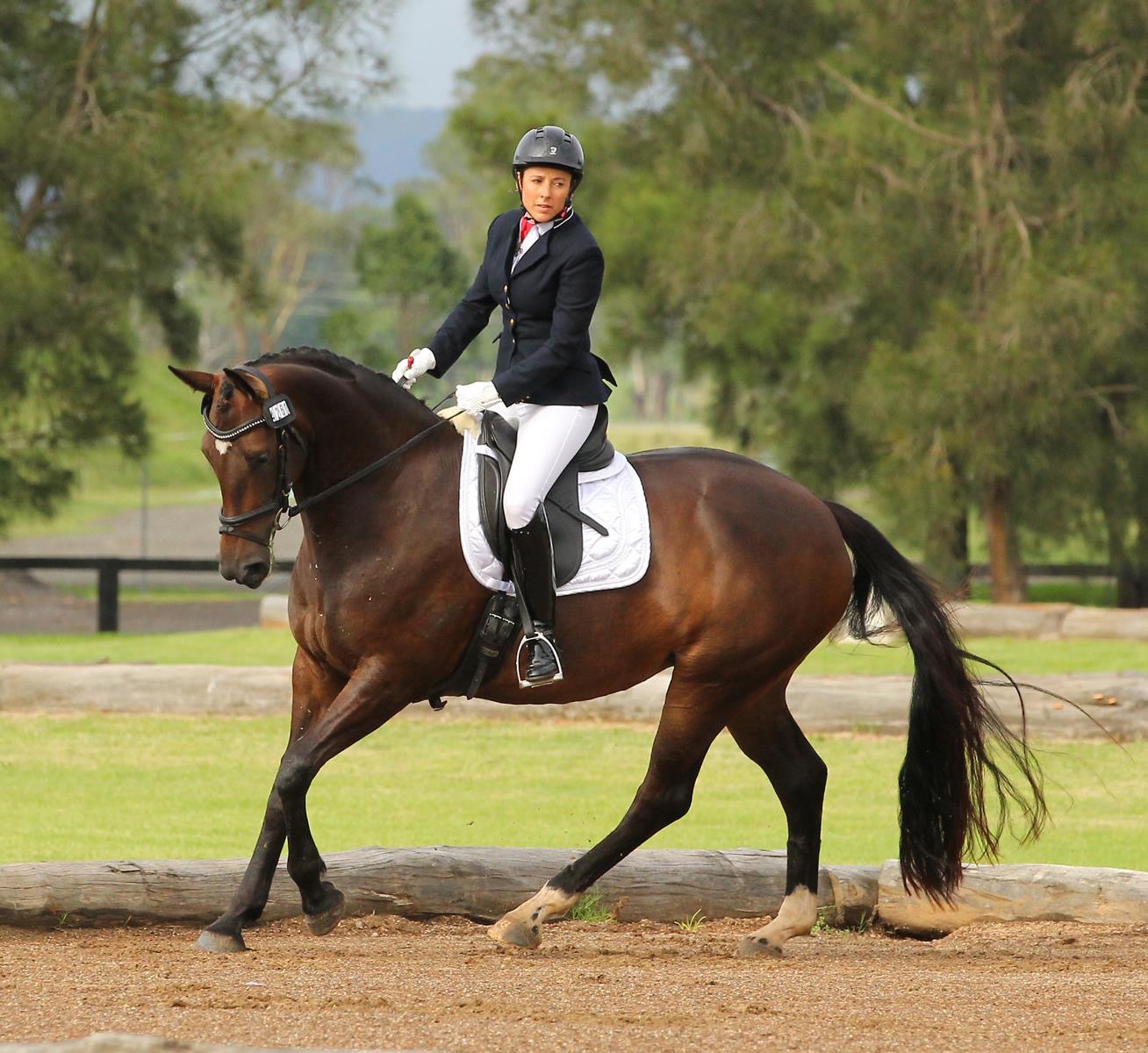 Dr Ilona Hudson explains why she has been using Rose-Hip Vital Equine for a few years..