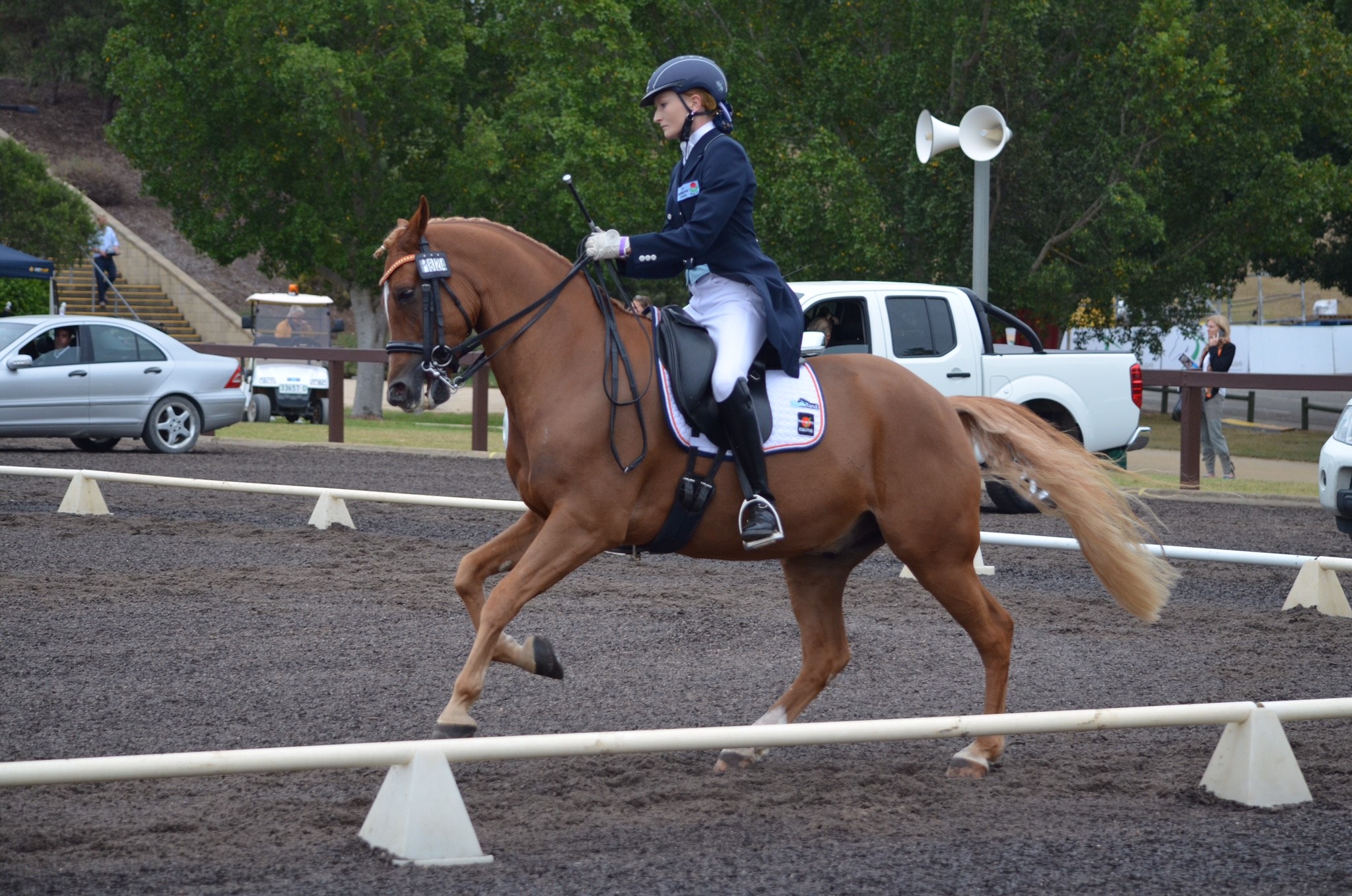 Sydney Evans competes in first CDI at 17!