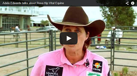 Adele Edwards talks about Rose-Hip Vital Equine