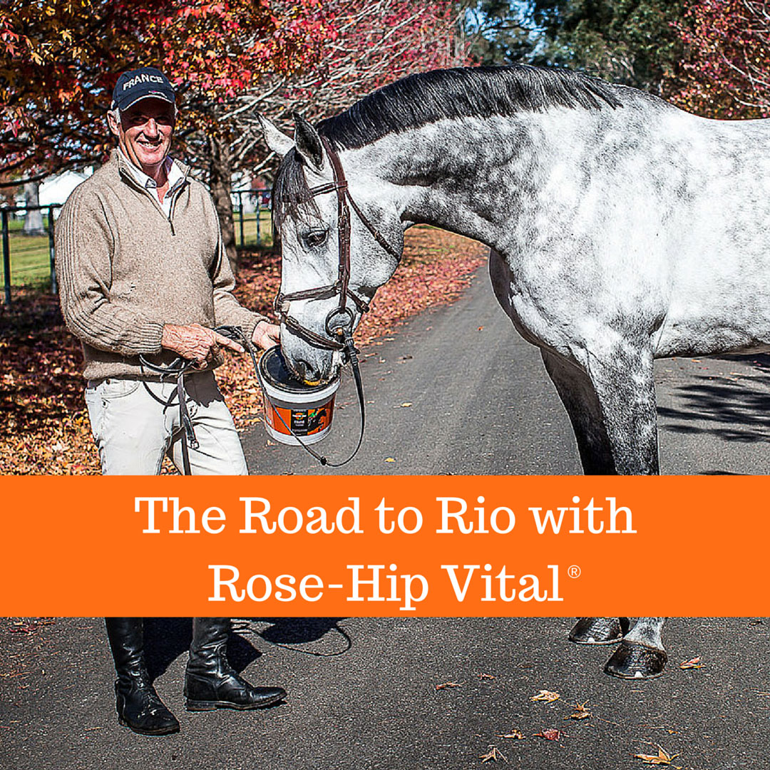 The road to Rio with Rose-Hip Vital