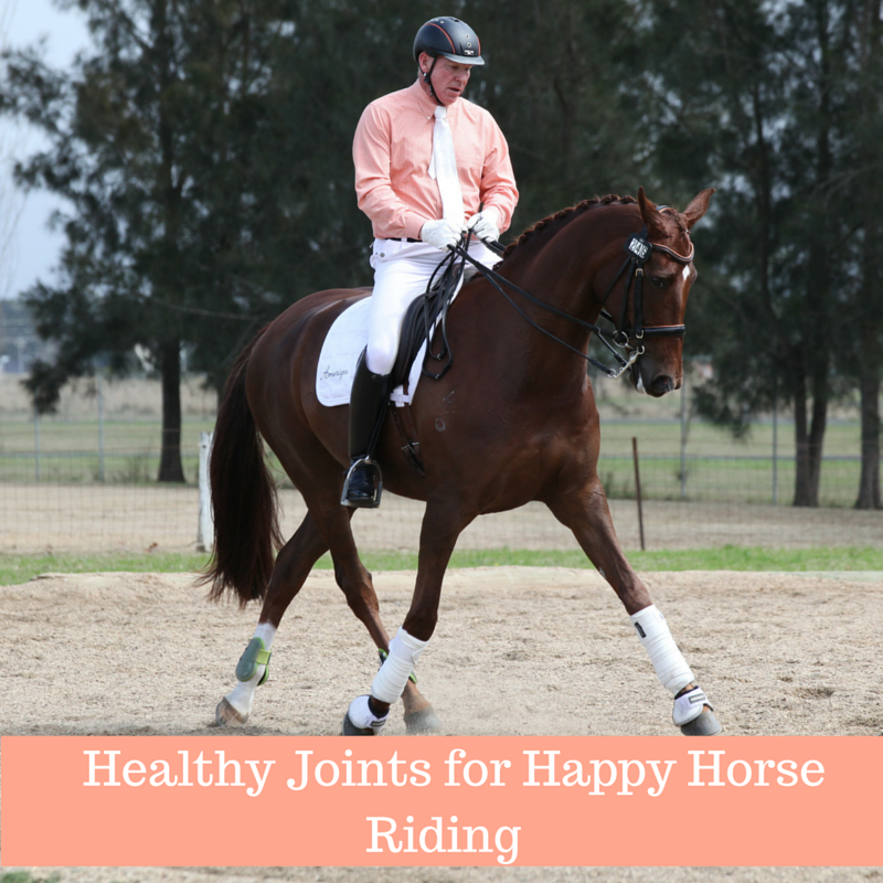 Healthy happy horse riding