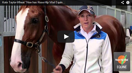 Kate Taylor-Wheat “How has Rose-Hip Vital Equine helped Oscar B?”