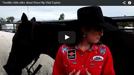 Teneille Little talks about Rose-Hip Vital Equine