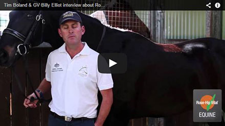 Tim Boland & GV Billy Elliot interview about Rose-Hip Vital Equine